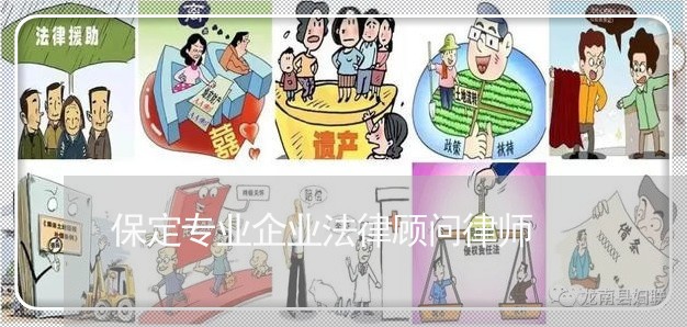 保定专业企业法律顾问律师