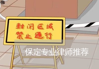 保定专业律师推荐