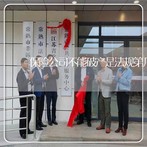 保险公司不能破产是法规第几条