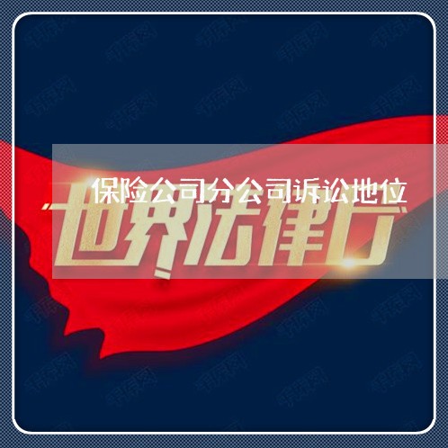 保险公司分公司诉讼地位 保险公司分公司诉讼地位