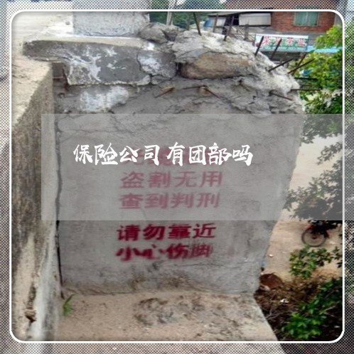保险公司有团部吗 保险公司有团部吗