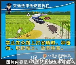 保险公司法务经理 保险公司法务经理