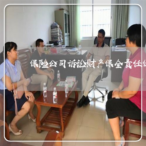 保险公司诉讼财产保全责任保险