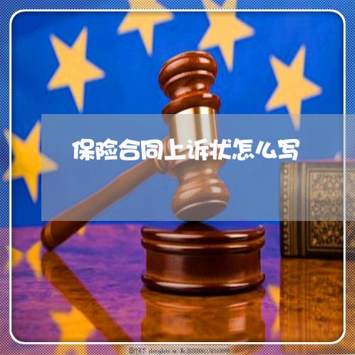 保险合同上诉状怎么写/2023060325137