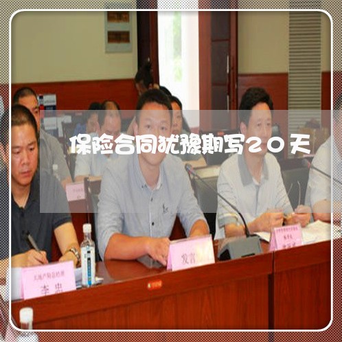 保险合同犹豫期写20天/2023041378179 保险合同犹豫期写20天/2023041378179