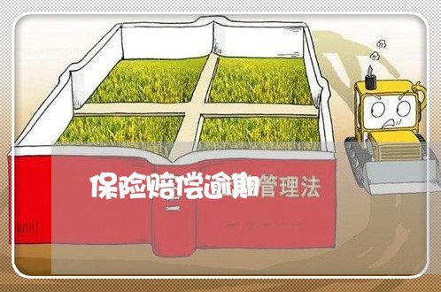 保险赔偿逾期