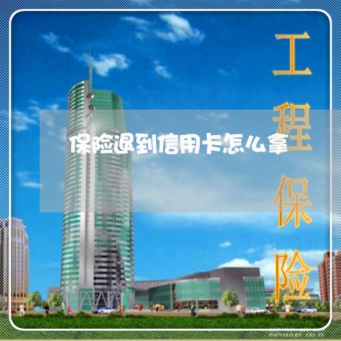 保险退到信用卡怎么拿/2023020730093