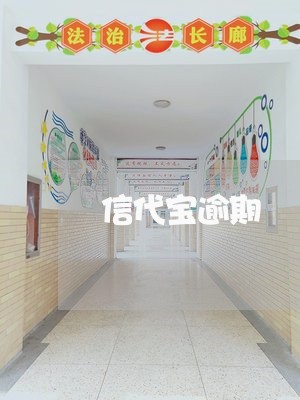 信代宝逾期