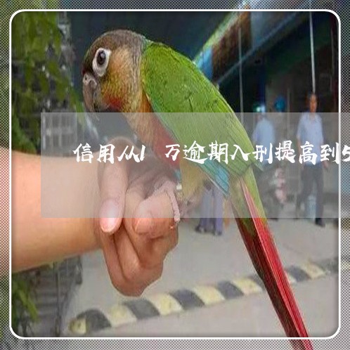 信用从1万逾期入刑提高到5万
