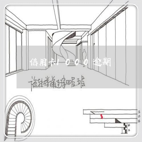 信用卡1000逾期/2023031524946