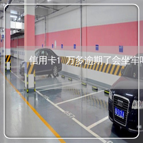 信用卡1万多逾期了会坐牢吗