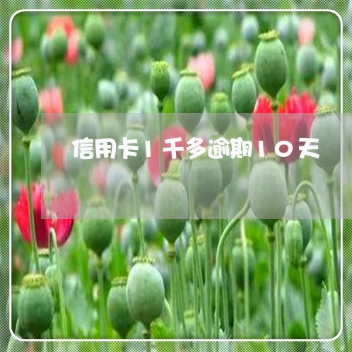 信用卡1千多逾期10天 信用卡1千多逾期10天