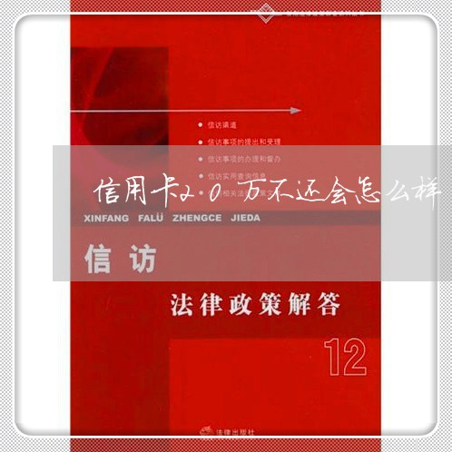 信用卡20万不还会怎么样/2023061978391