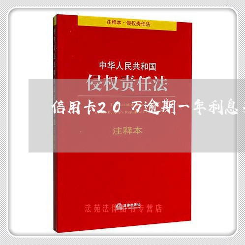 信用卡20万逾期一年利息多少啊/2023060526838