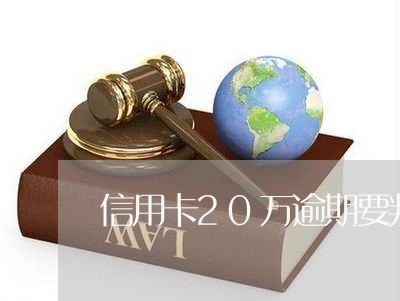 信用卡20万逾期要判多久刑法/2023062976946