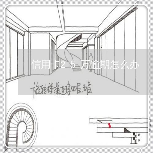 信用卡25万逾期怎么办/2023060560482