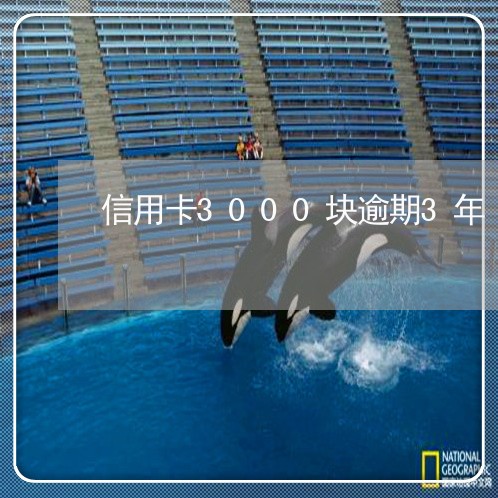 信用卡3000块逾期3年
