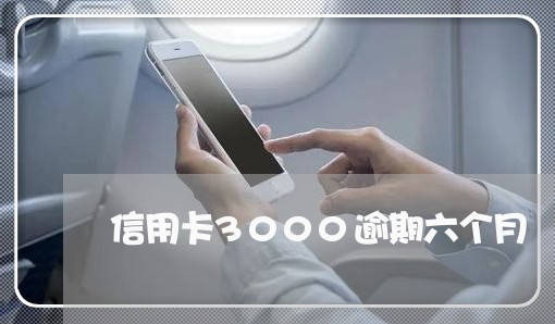 信用卡3000逾期六个月/2023062808260