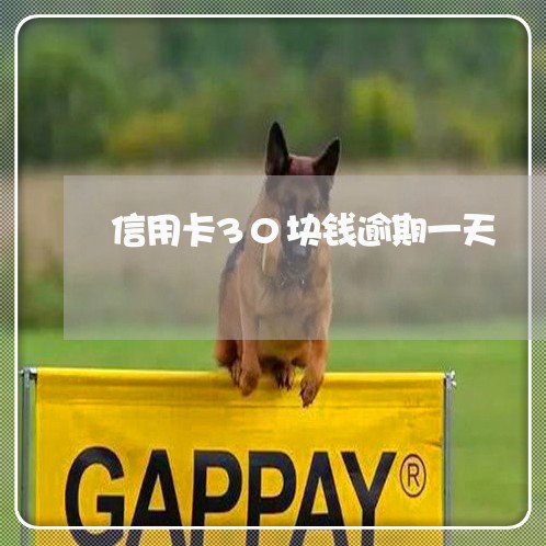 信用卡30块钱逾期一天 信用卡30块钱逾期一天