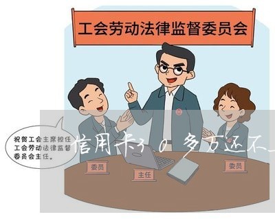 信用卡30多万还不上怎么办 信用卡30多万还不上怎么办