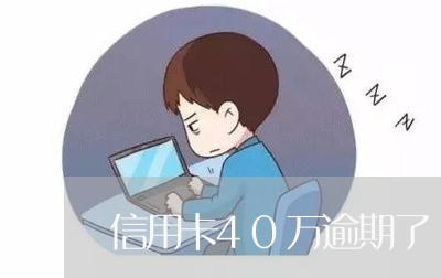 信用卡40万逾期了/2023121634137