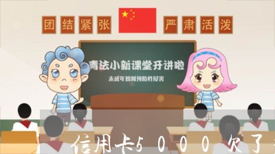 信用卡5000欠了多年