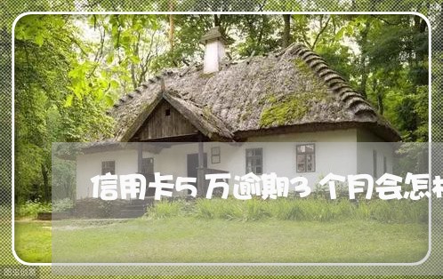 信用卡5万逾期3个月会怎样 信用卡5万逾期3个月会怎样