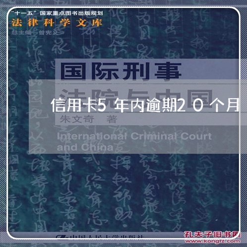 信用卡5年内逾期20个月