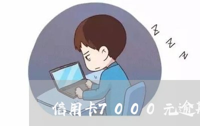 信用卡7000元逾期不还/2023121600604