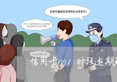 信用卡m1时段逾期天数