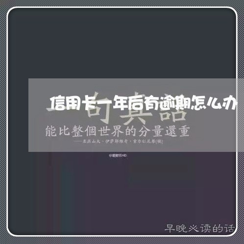 信用卡一年后有逾期怎么办 信用卡一年后有逾期怎么办