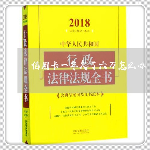 信用卡一年欠了六万怎么办