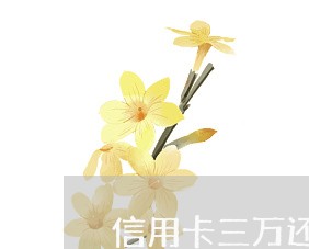 信用卡三万还不上 信用卡三万还不上