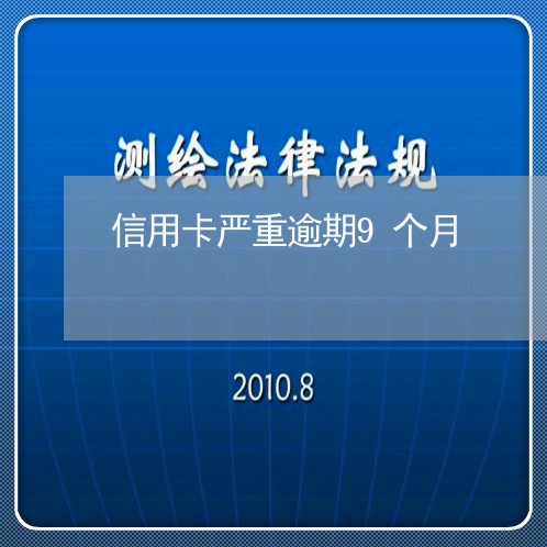 信用卡严重逾期9个月/2023070969591