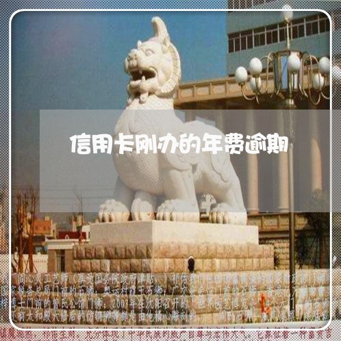 信用卡刚办的年费逾期/2023061671403
