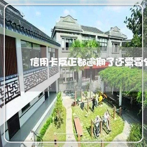 信用卡反正都逾期了还需要分期吗 信用卡反正都逾期了还需要分期吗