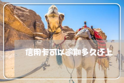 信用卡可以逾期多久还上 信用卡可以逾期多久还上