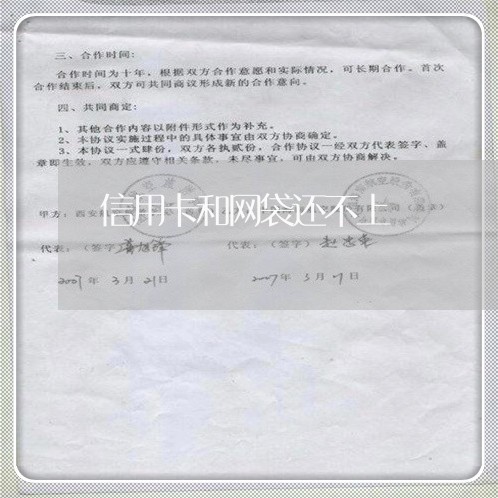 信用卡和网袋还不上