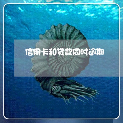 信用卡和贷款同时逾期 信用卡和贷款同时逾期