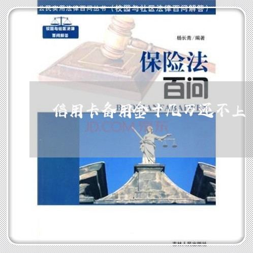 信用卡备用金十几万还不上