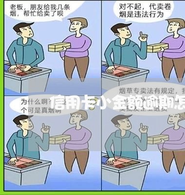 信用卡小金额逾期怎么办/2023042356048