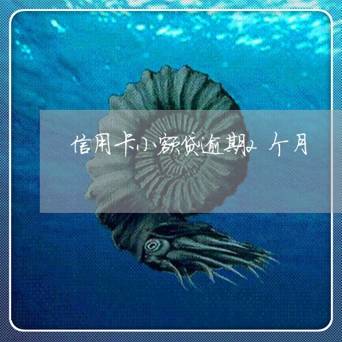 信用卡小额贷逾期2个月 信用卡小额贷逾期2个月