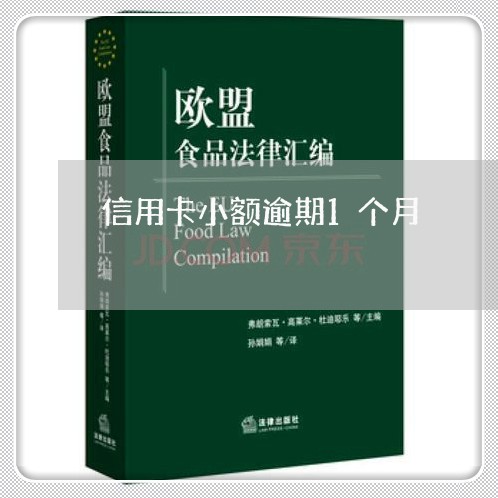 信用卡小额逾期1个月/2023032349493