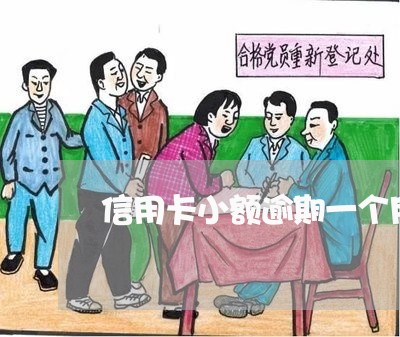 信用卡小额逾期一个月 信用卡小额逾期一个月