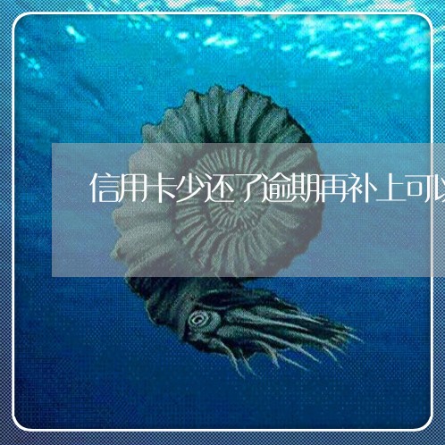 信用卡少还了逾期再补上可以吗