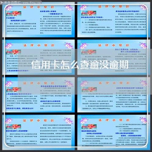 信用卡怎么查逾没逾期/2023061516959