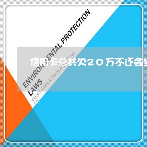 信用卡总共欠20万不还会坐牢吗