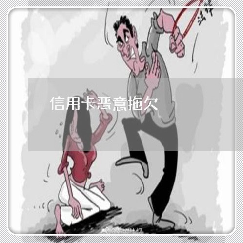 信用卡恶意拖欠/2023030126148 信用卡恶意拖欠/2023030126148