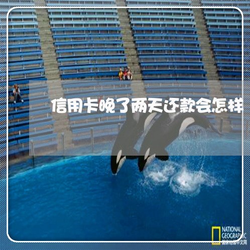 信用卡晚了两天还款会怎样/2023022562727 信用卡晚了两天还款会怎样/2023022562727
