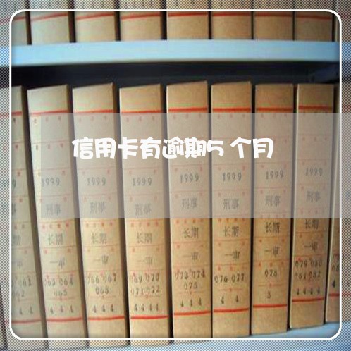 信用卡有逾期5个月 信用卡有逾期5个月